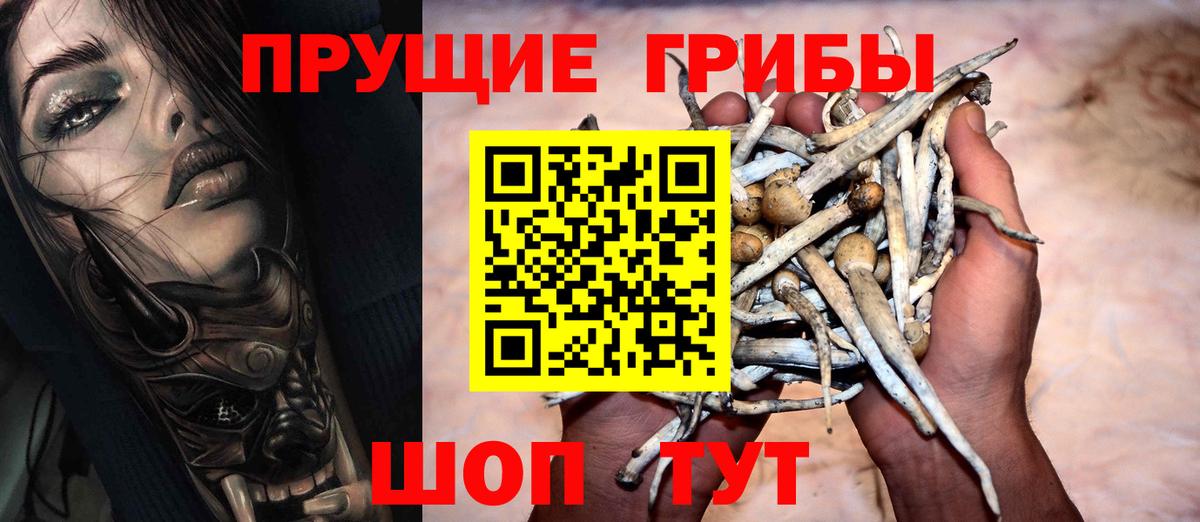 Краснодар  Галлюциногенные грибы Psilocybe  Вход с VPN 