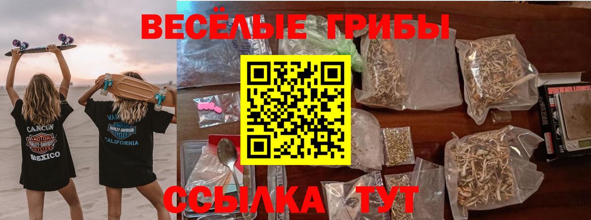Галлюциногенные грибы Magic Shrooms Краснодар